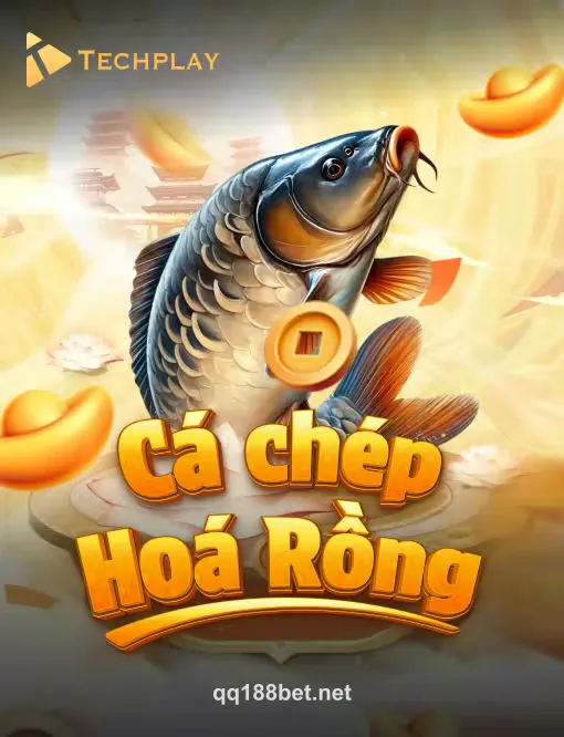 Ca Chép Hoa Rồng